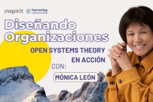 Diseñando organizaciones – Open Systems Theory en acción (OST) en acción